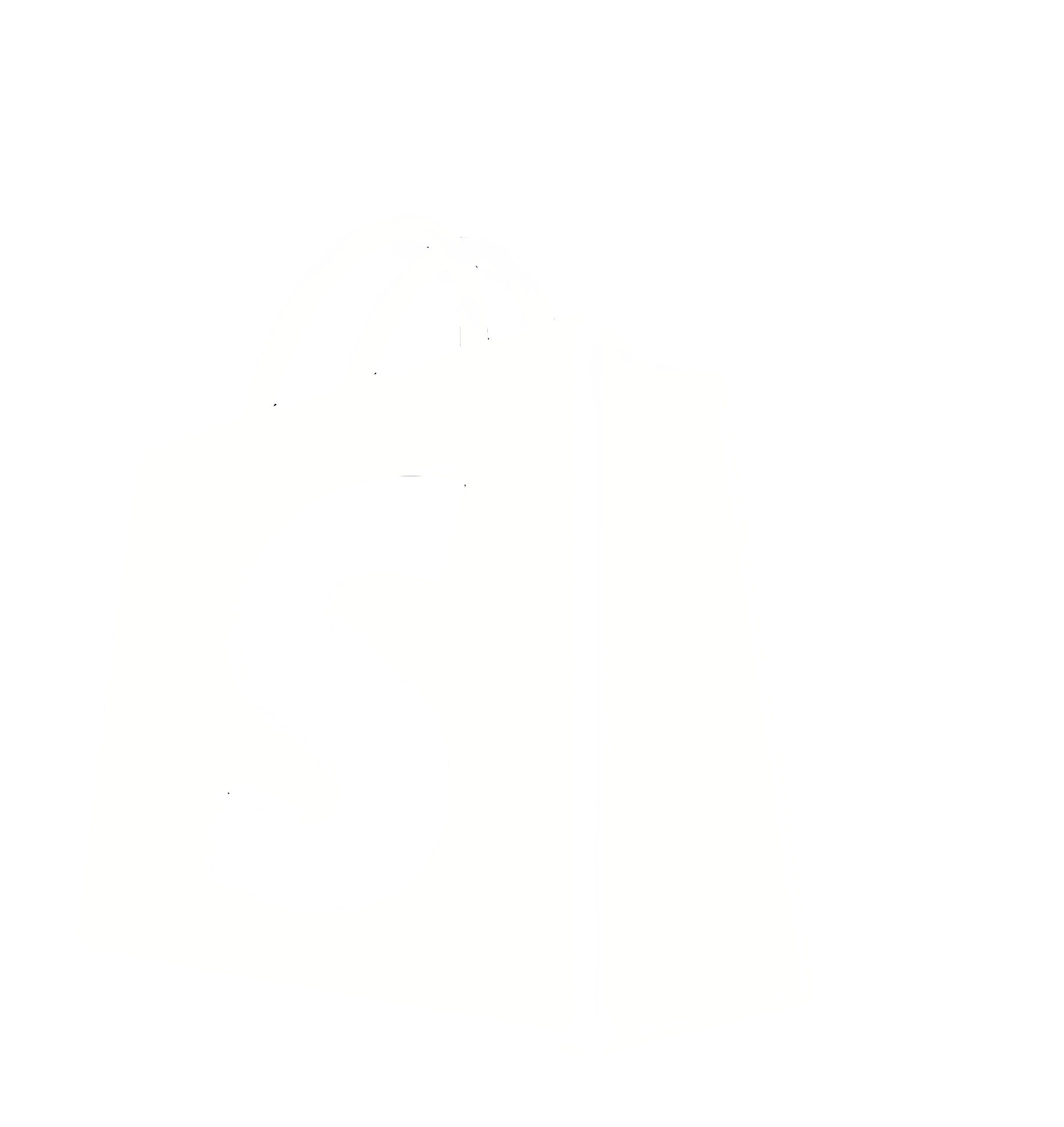 Shopify development services by best digital marketing company in Pakistan